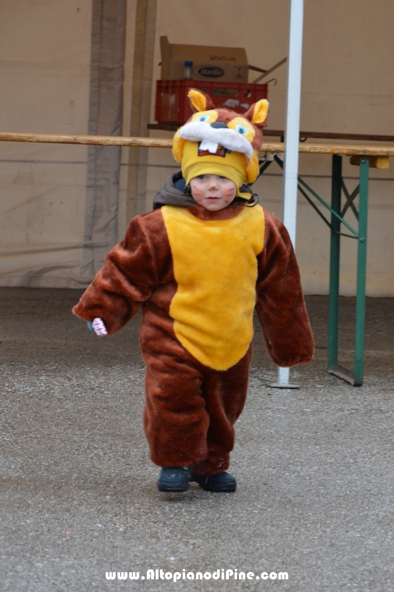 Pineé - Carnevale 2015 