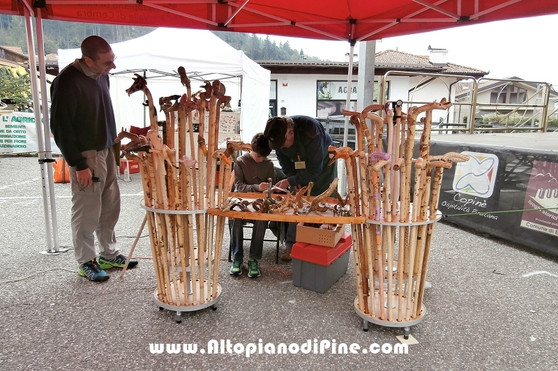 Fiera del fungo 2015