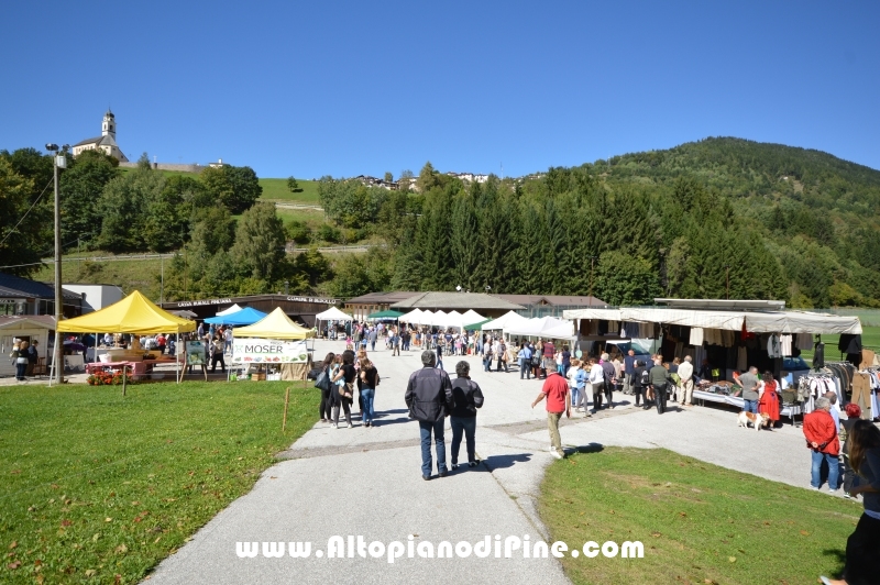 Desmalgada 2015 - Centrale di Bedollo