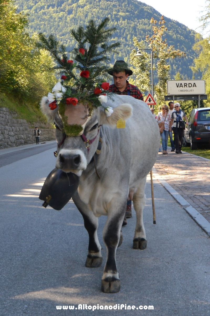 Desmalgada 2015 - Centrale di Bedollo