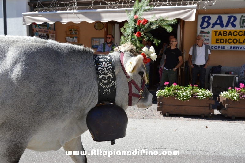 Desmalgada 2015 - Centrale di Bedollo