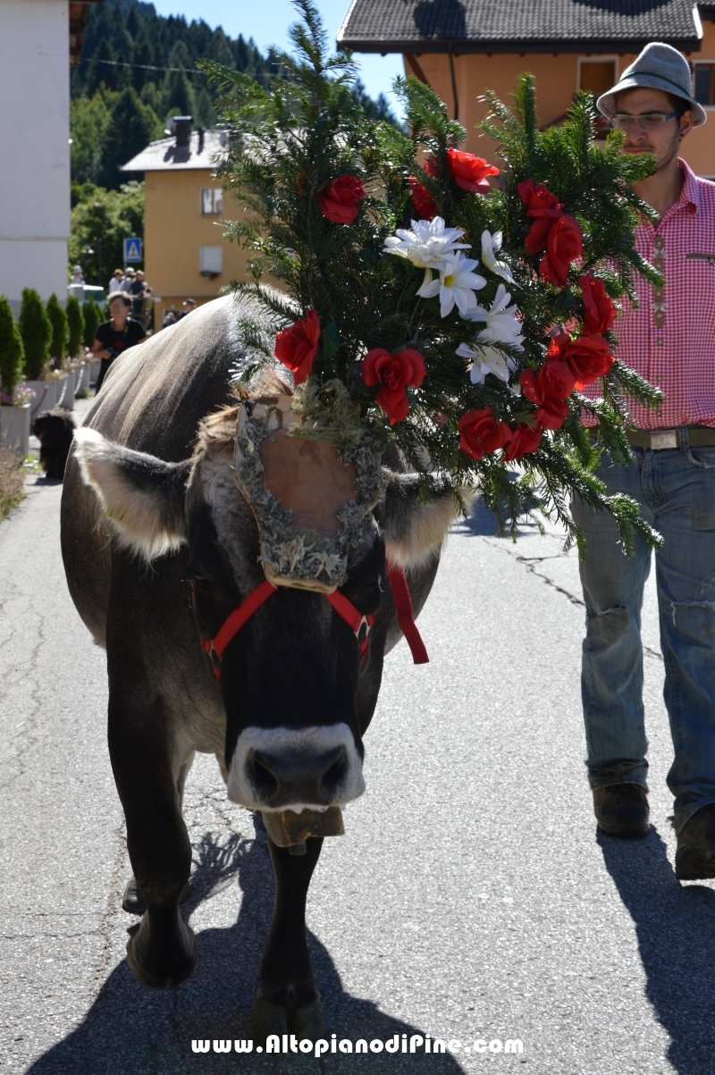 Desmalgada 2015 - Centrale di Bedollo