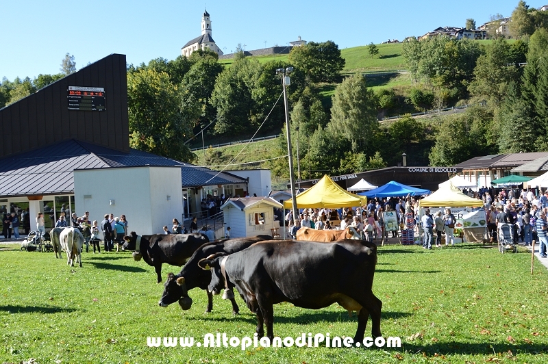Desmalgada 2015 - Centrale di Bedollo