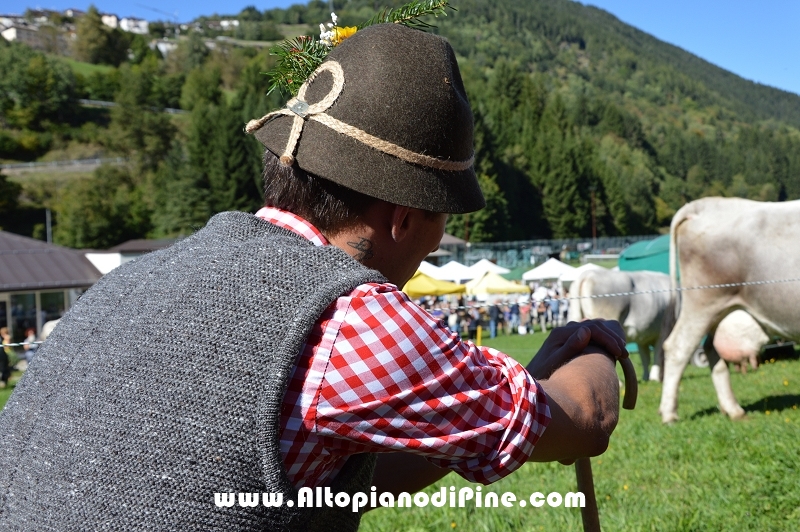 Desmalgada 2015 - Centrale di Bedollo
