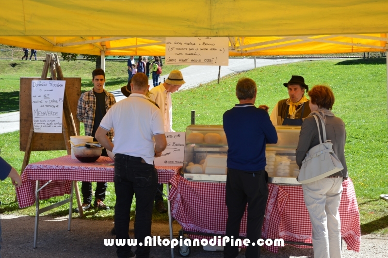 Desmalgada 2015 - Centrale di Bedollo