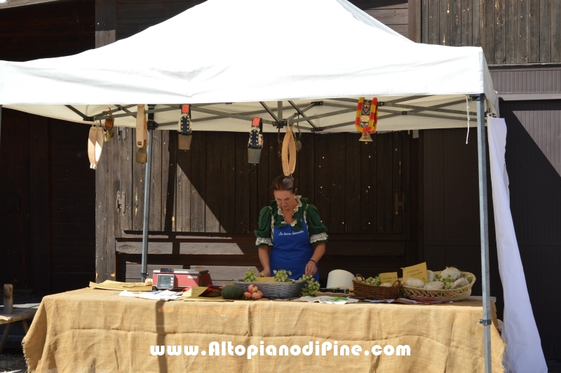 Desmalgada 2015 - Centrale di Bedollo