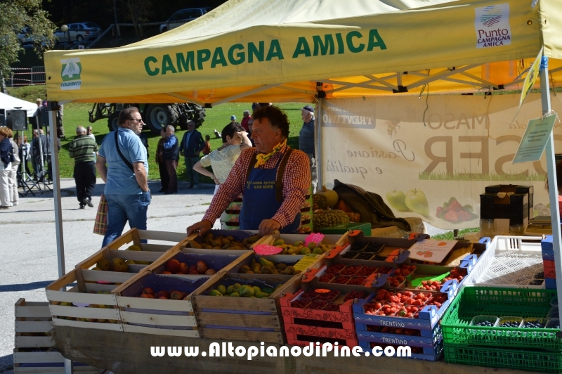 Desmalgada 2015 - Centrale di Bedollo