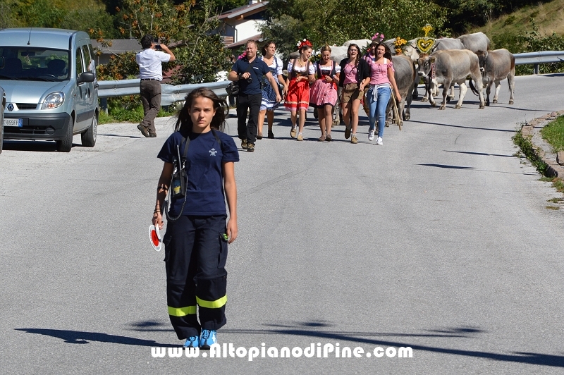Desmalgada 2015 - Centrale di Bedollo