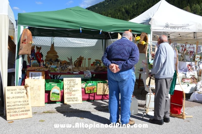 Desmalgada 2015 - Centrale di Bedollo