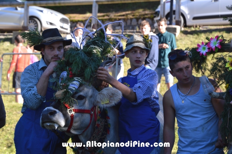 Desmalgada 2015 - Centrale di Bedollo