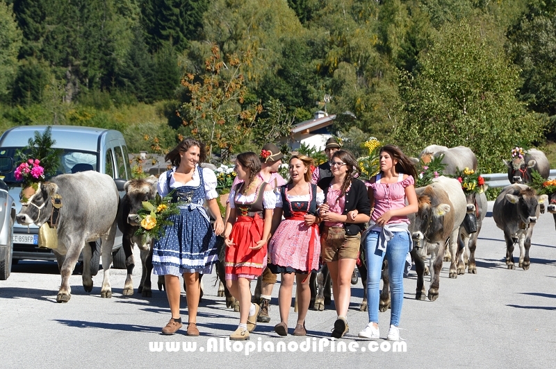 Desmalgada 2015 - Centrale di Bedollo