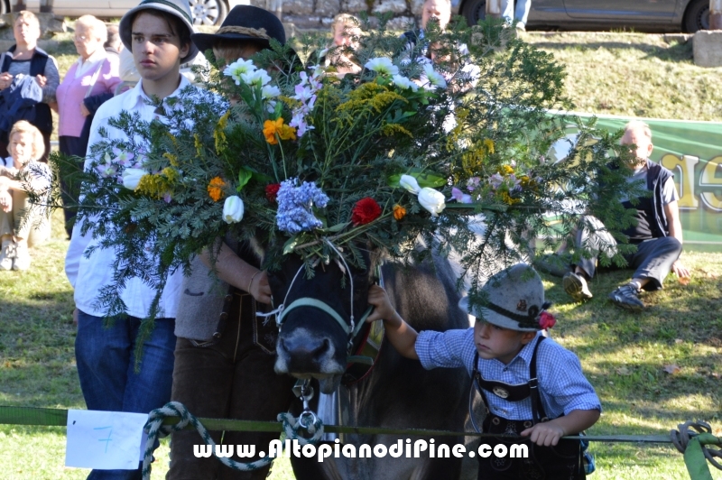 Desmalgada 2015 - Centrale di Bedollo