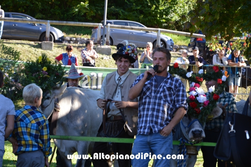 Desmalgada 2015 - Centrale di Bedollo