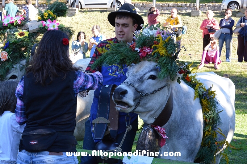 Desmalgada 2015 - Centrale di Bedollo