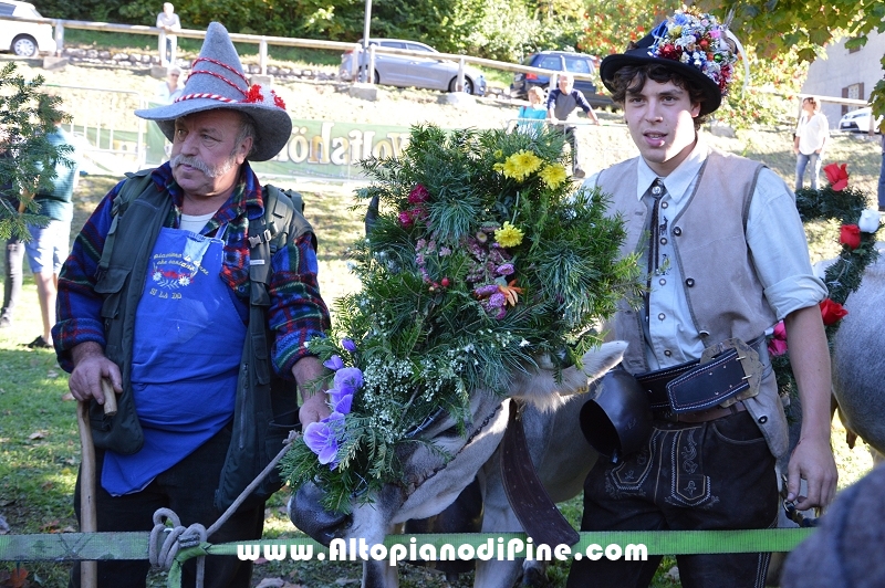 Desmalgada 2015 - Centrale di Bedollo