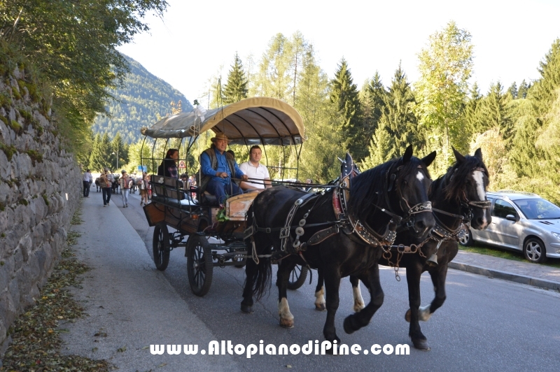 Desmalgada 2015 - Centrale di Bedollo