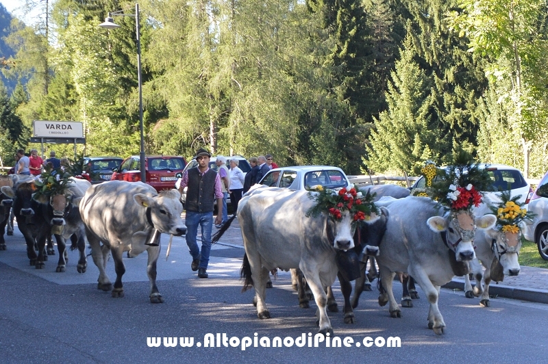 Desmalgada 2015 - Centrale di Bedollo