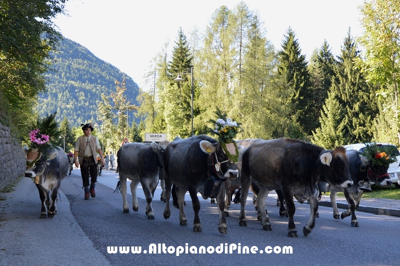 Desmalgada 2015 - Centrale di Bedollo
