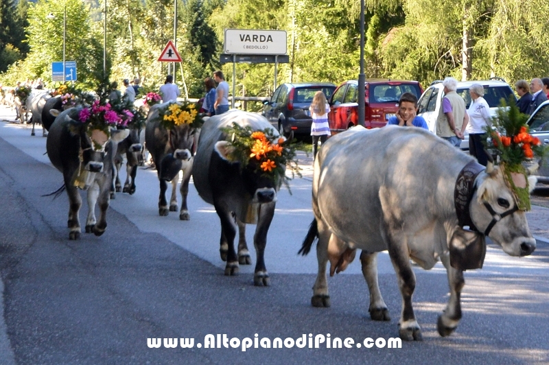 Desmalgada 2015 - Centrale di Bedollo