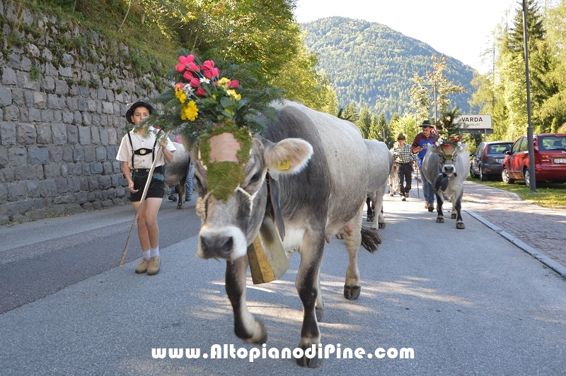 Desmalgada 2015 - Centrale di Bedollo