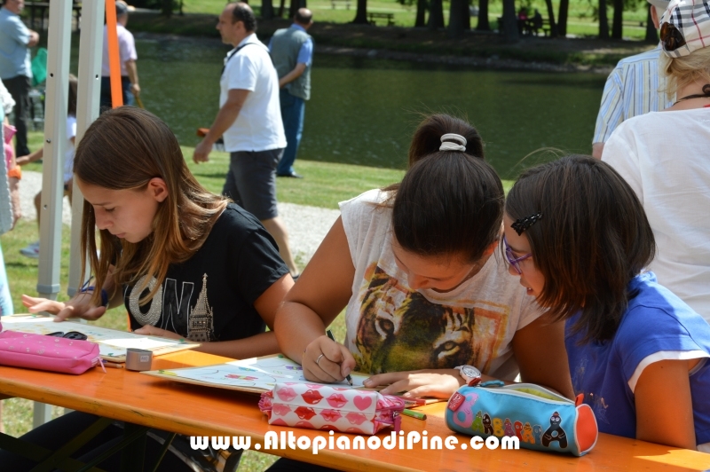 40 Concorso di Pittura all'Aperto - Brusago - luglio 2015