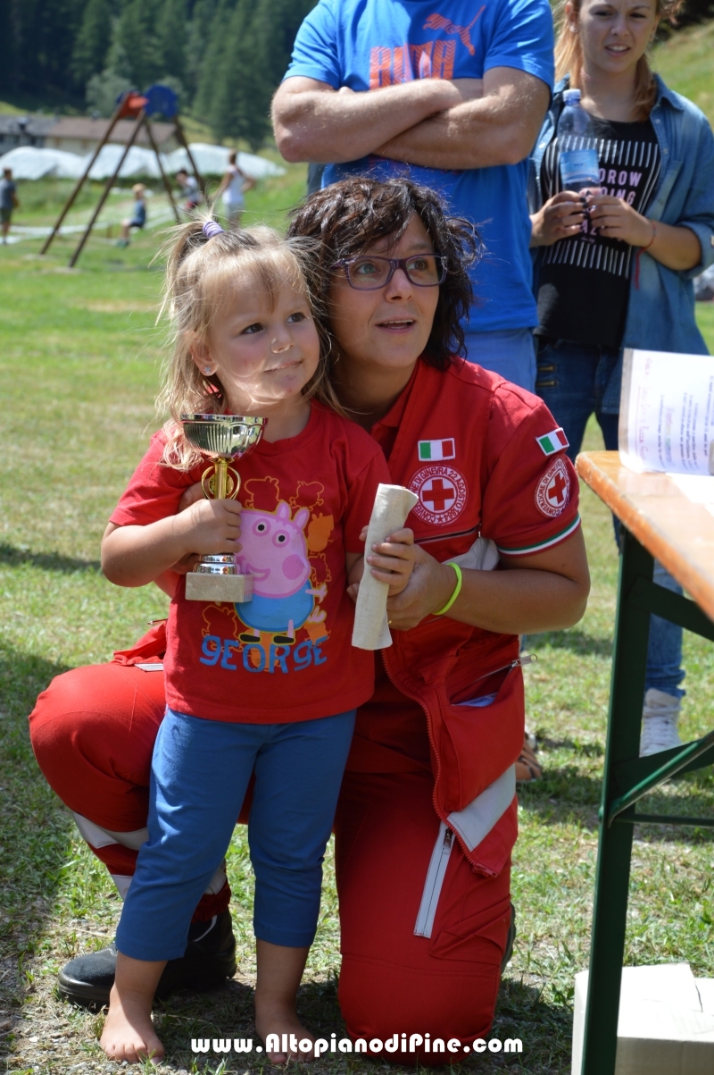 40 Concorso di Pittura all'Aperto - Brusago - luglio 2015