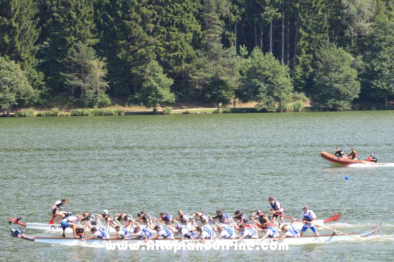 Dragon Festival 2015 - Baselga di Pine'