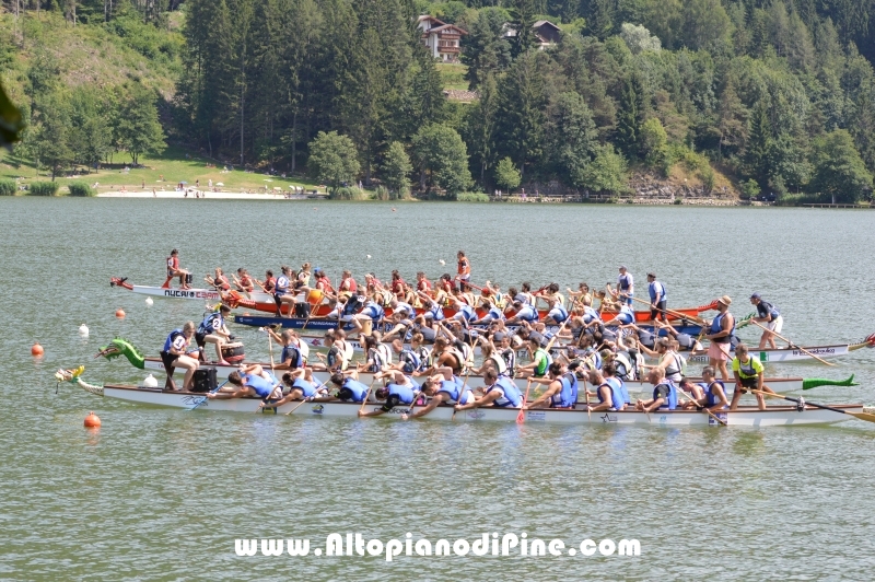 Dragon Festival 2015 - Baselga di Pine'