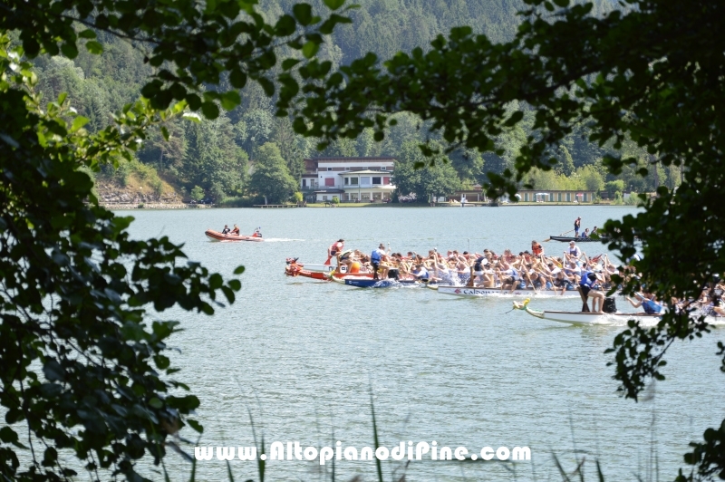 Dragon Festival 2015 - Baselga di Pine'