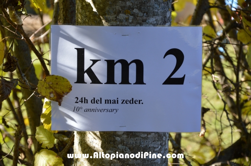 Mai Zeder 2015