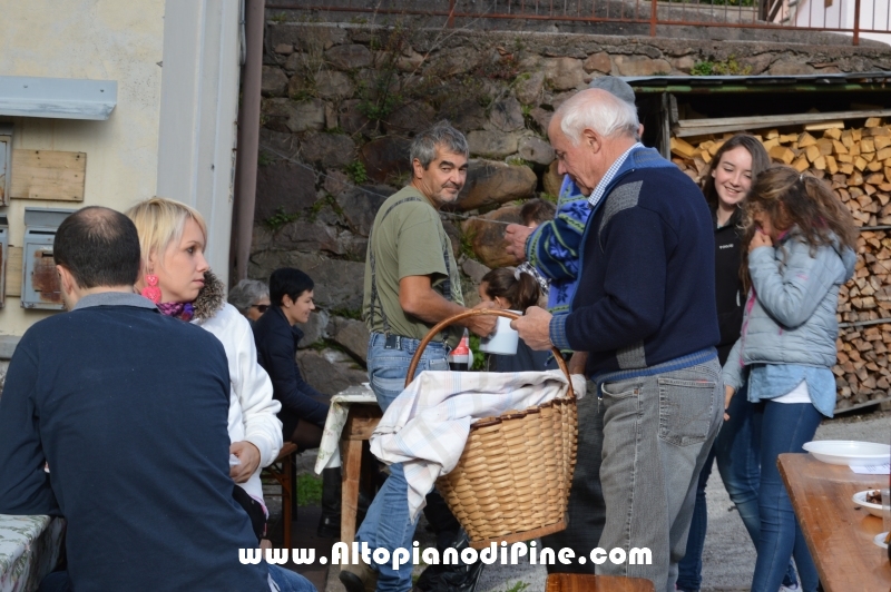 Vigo - Castagnata 2015