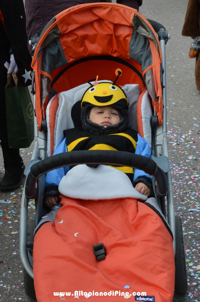 Pineé - Carnevale 2016 