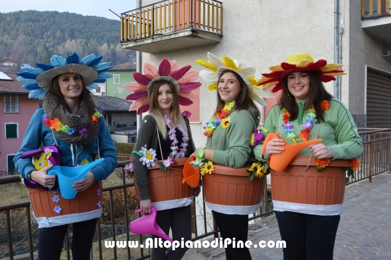 Pineé - Carnevale 2016 