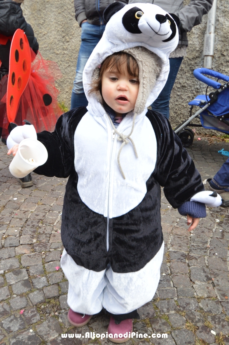 Pineé - Carnevale 2016 