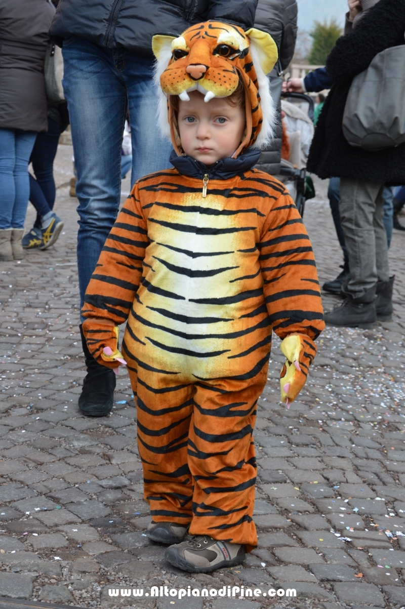 Pineé - Carnevale 2016 