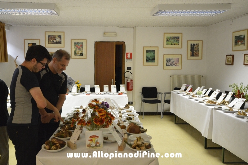 Fiera del fungo 2016