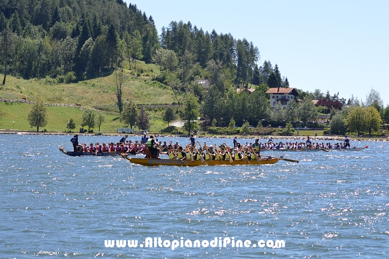Dragon Festival 2016 - Baselga di Pine'