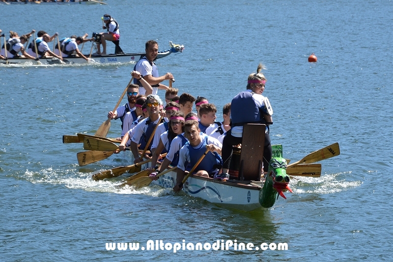 Dragon Festival 2016 - Baselga di Pine'