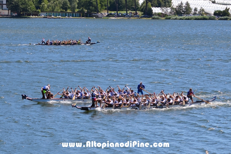 Dragon Festival 2016 - Baselga di Pine'