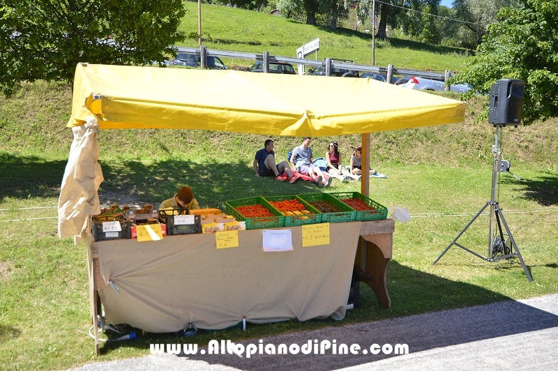 Dragon Festival 2016 - Baselga di Pine'