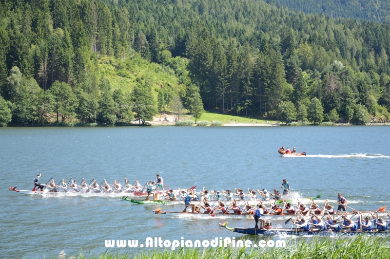 Dragon Festival 2016 - Baselga di Pine'