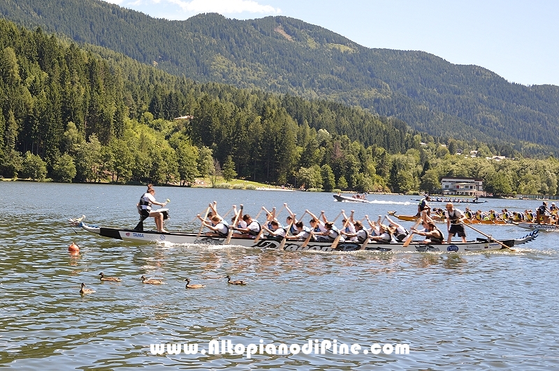 Dragon Festival 2016 - Baselga di Pine'