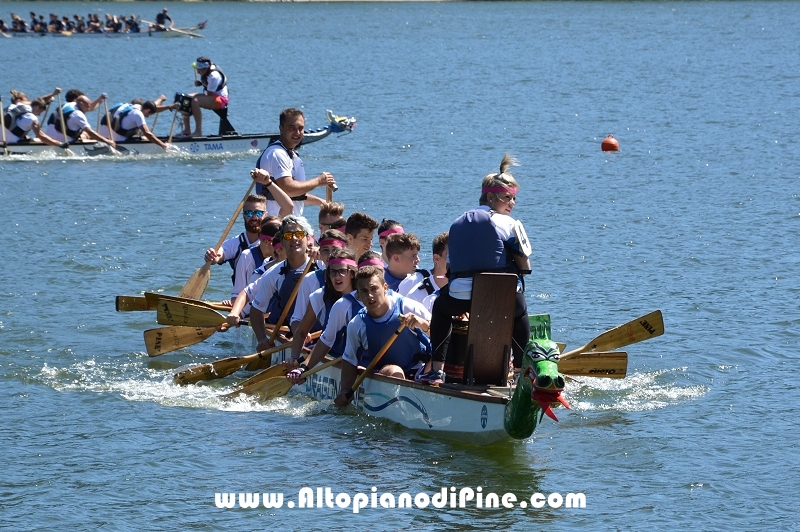 Dragon Festival 2016 - Baselga di Pine'