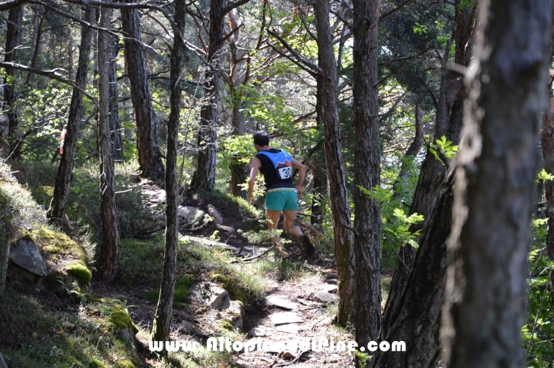 17°  trofeo Fiorella e Luca - Tressilla 15 maggio 2016