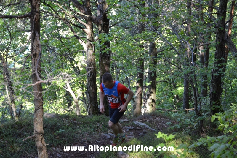 17°  trofeo Fiorella e Luca - Tressilla 15 maggio 2016