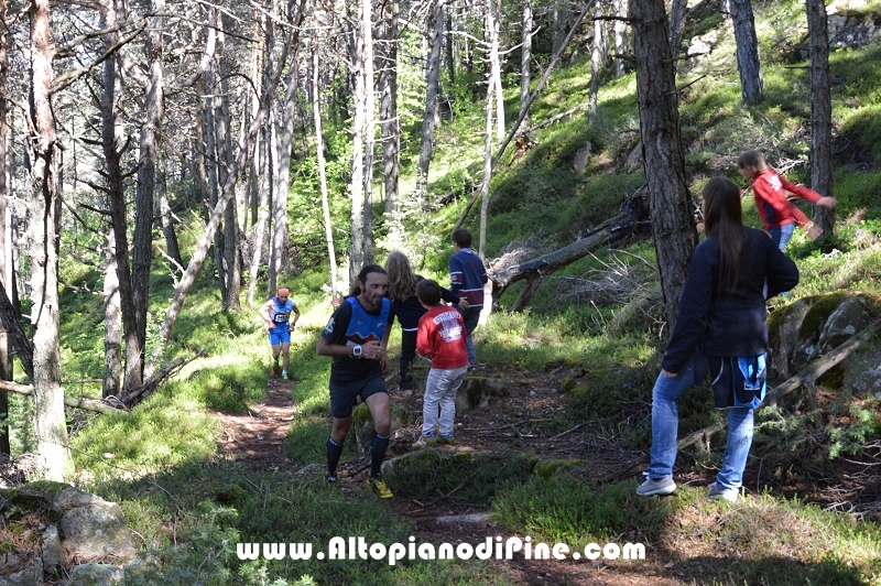 17°  trofeo Fiorella e Luca - Tressilla 15 maggio 2016