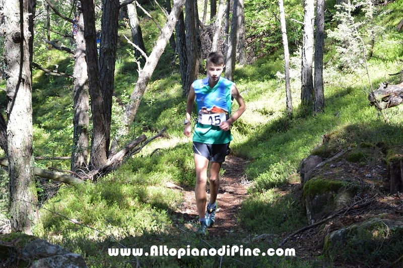 17°  trofeo Fiorella e Luca - Tressilla 15 maggio 2016