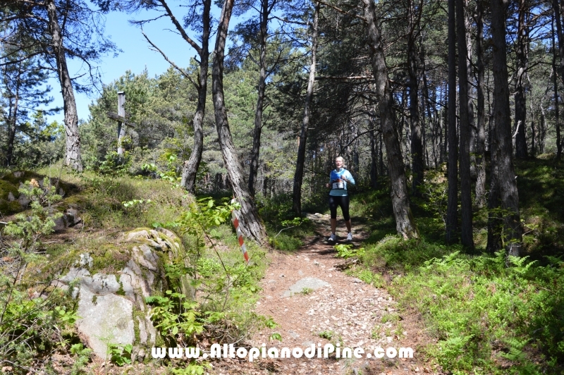 17°  trofeo Fiorella e Luca - Tressilla 15 maggio 2016