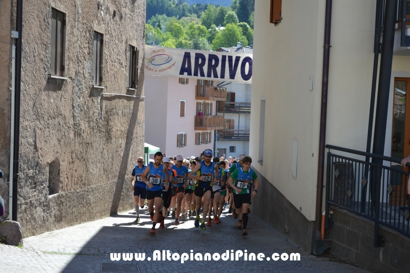 17°  trofeo Fiorella e Luca - Tressilla 15 maggio 2016
