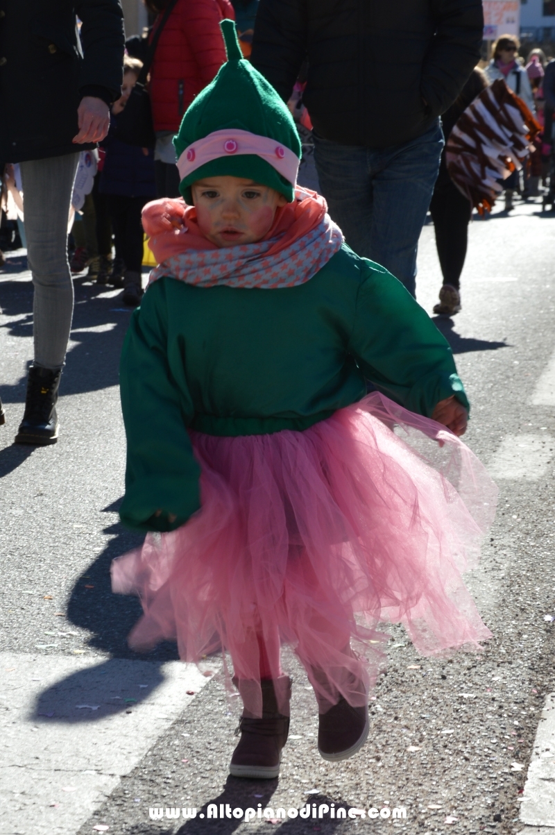 Pineé - Carnevale 2017 